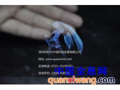 全息膜--幻影成像膜图3